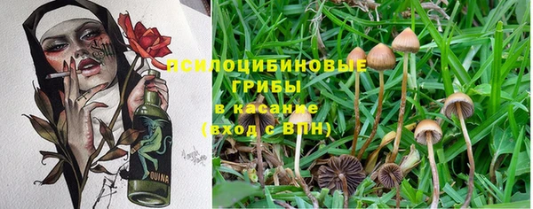 соль ск Алексеевка