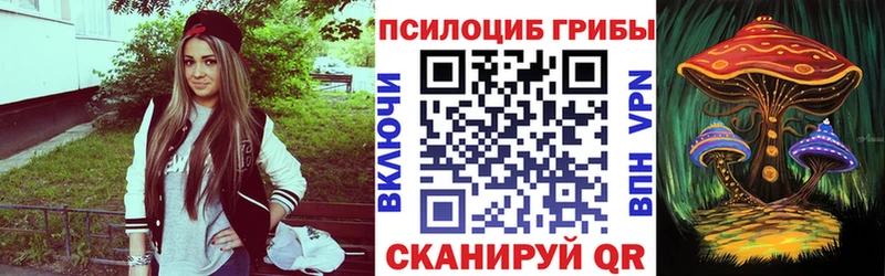 Псилоцибиновые грибы прущие грибы  где купить наркоту  Чегем 