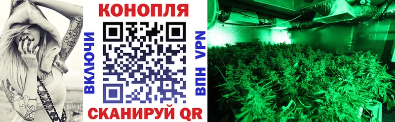 Канабис индика  Чегем 